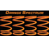 Polaris RZR TURBO R 2 Seat Tender HD Spring Upgrade kit