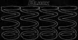 Tender Springs - Can Am Maverick X3